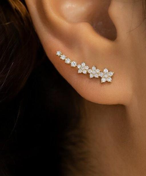 Climber Earrings