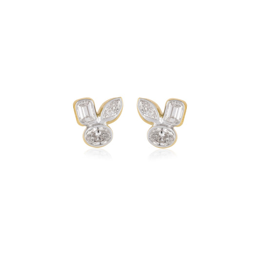 Fancy Earrings