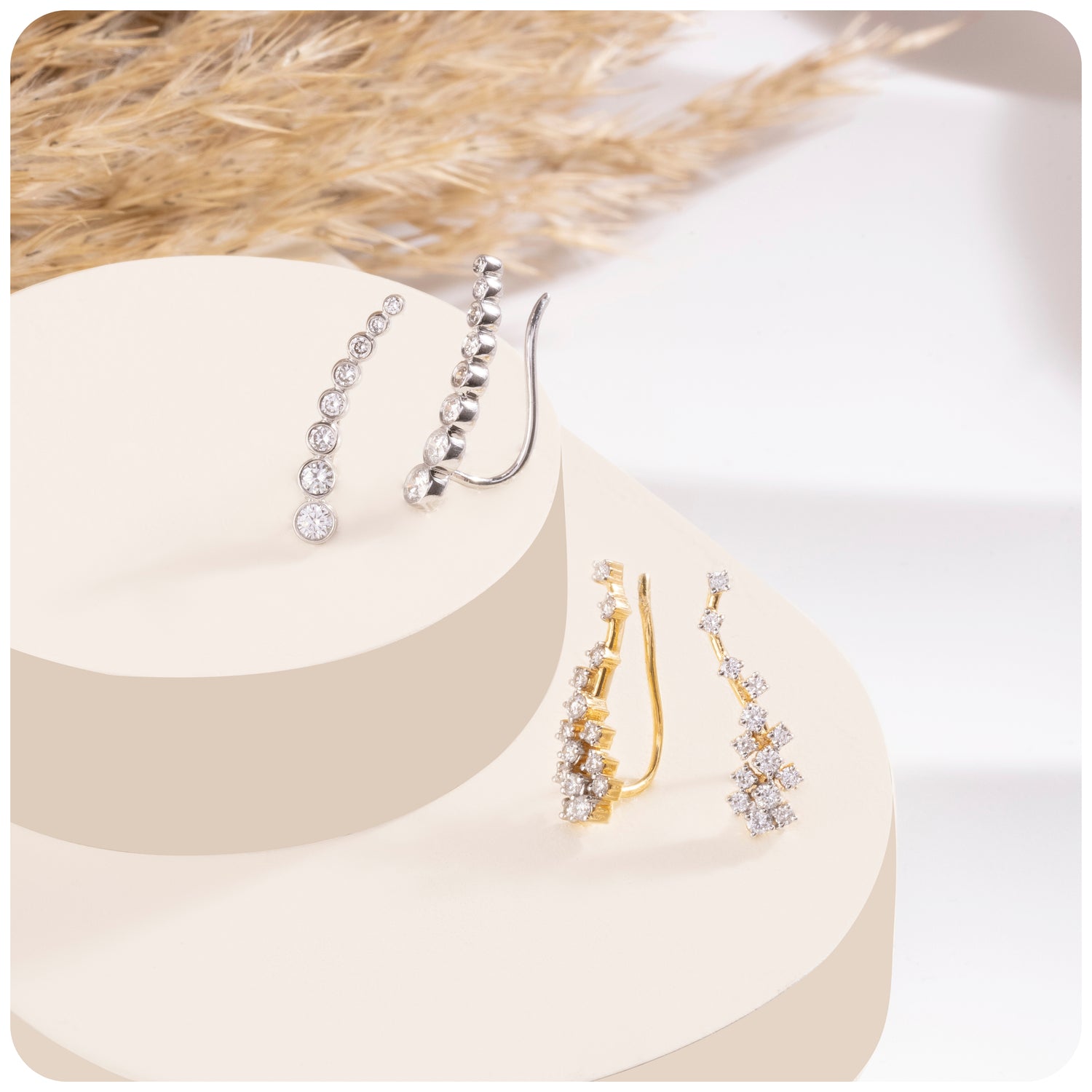 Climber Earrings